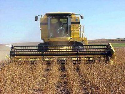 Suba en el inmobiliario rural Alcanzar� el 21% en Z�rate