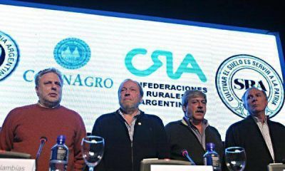 Biolcati reconoce "ideolog�as distintas" en la Mesa de Enlace pero evita hablar de fractura