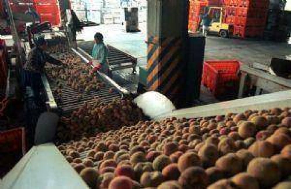 ATE analiza judicializar el pago de intereses del RePAS