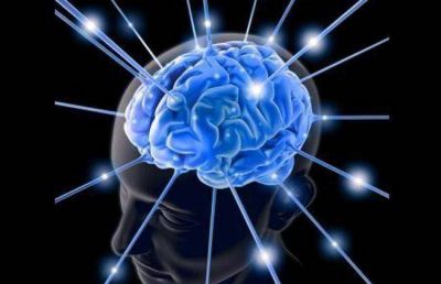 �La neuroeducaci�n es la optimizaci�n de la ense�anza y del aprendizaje�