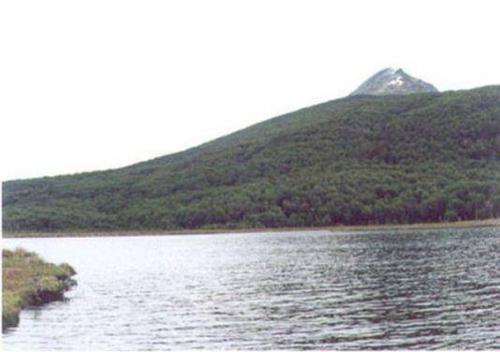 La Fundaci�n Ambiente y Recursos Naturales se sum� al rechazo de la desafectaci�n de reservas naturales