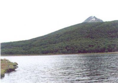 La Fundaci�n Ambiente y Recursos Naturales se sum� al rechazo de la desafectaci�n de reservas naturales