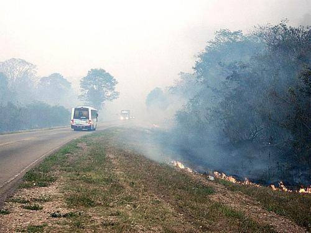 Incendio afecta a unas 40 hect�reas del Parque Nacional Calilegua
