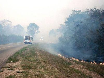 Incendio afecta a unas 40 hect�reas del Parque Nacional Calilegua