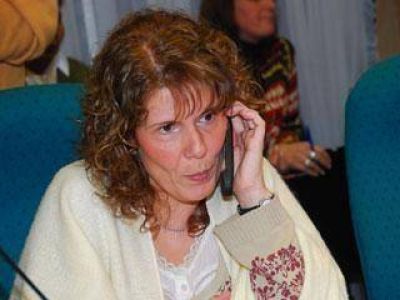 Mestel�n: �el proyecto es desconocido por la mayor�a de los santacruce�os�