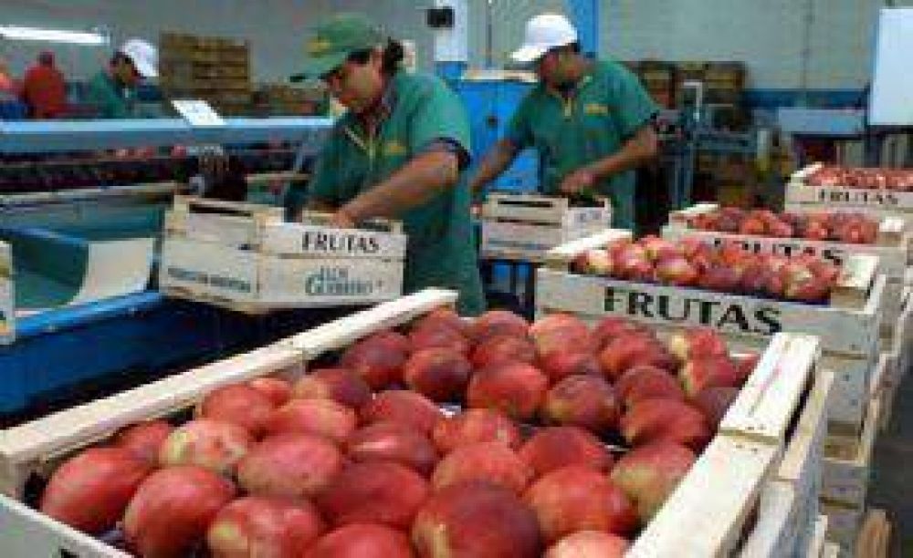 El tama�o de la fruta sigue preocupando a los productores