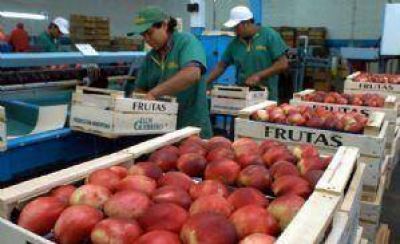El tama�o de la fruta sigue preocupando a los productores