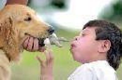 Ordenan la reapertura del servicio de zooterapia