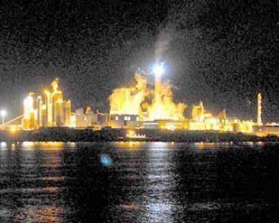 El monitoreo a la pastera podr�a empezar en unos cuarenta d�as