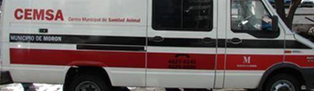 Nueva recorrida del quir�fano m�vil para mascotas