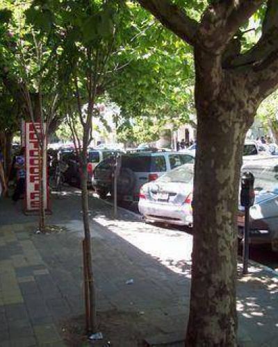 Proyecto calle Sarmiento �Trasplantar un �rbol lleva una log�stica important�sima�