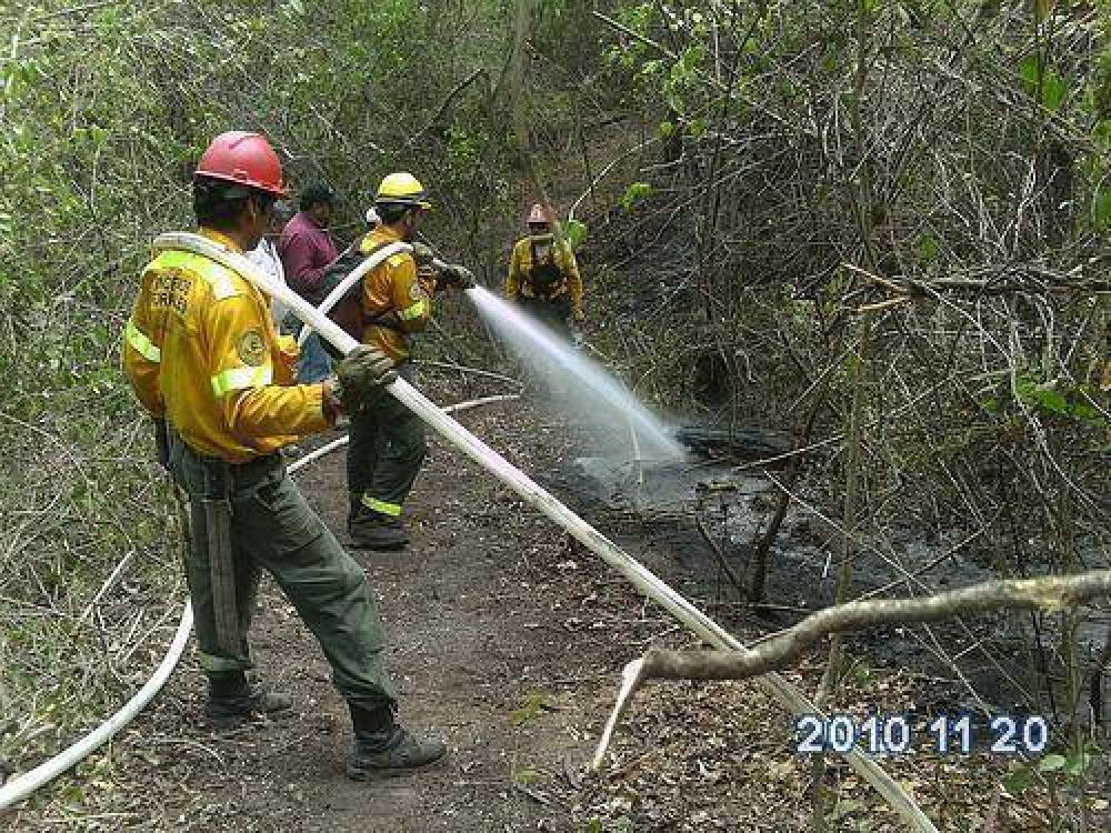 El fuego no se detiene en el Parque Nacional Calilegua