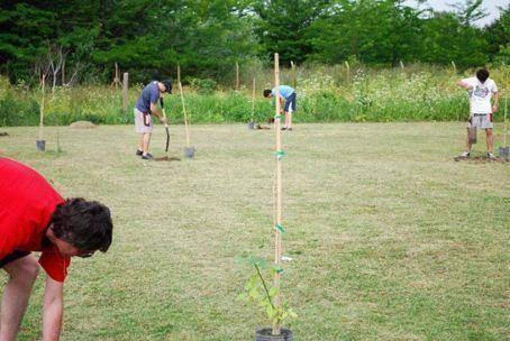 PLANTACI�N DE �RBOLES EN EL BARRIO SAN EMILIO Iniciativa ecol�gica en el predio del Club Luj�n