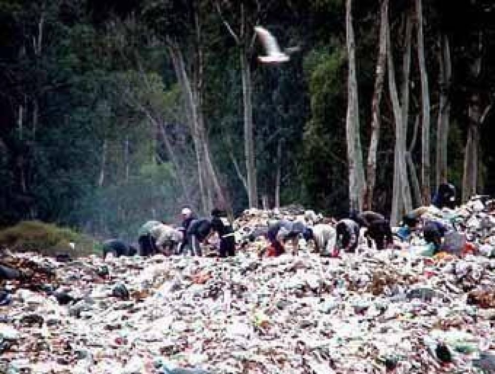 M�s de 90 tn. de basura ingresan por d�a al relleno sanitario municipal 