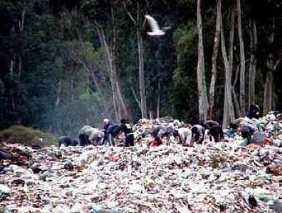 M�s de 90 tn. de basura ingresan por d�a al relleno sanitario municipal 