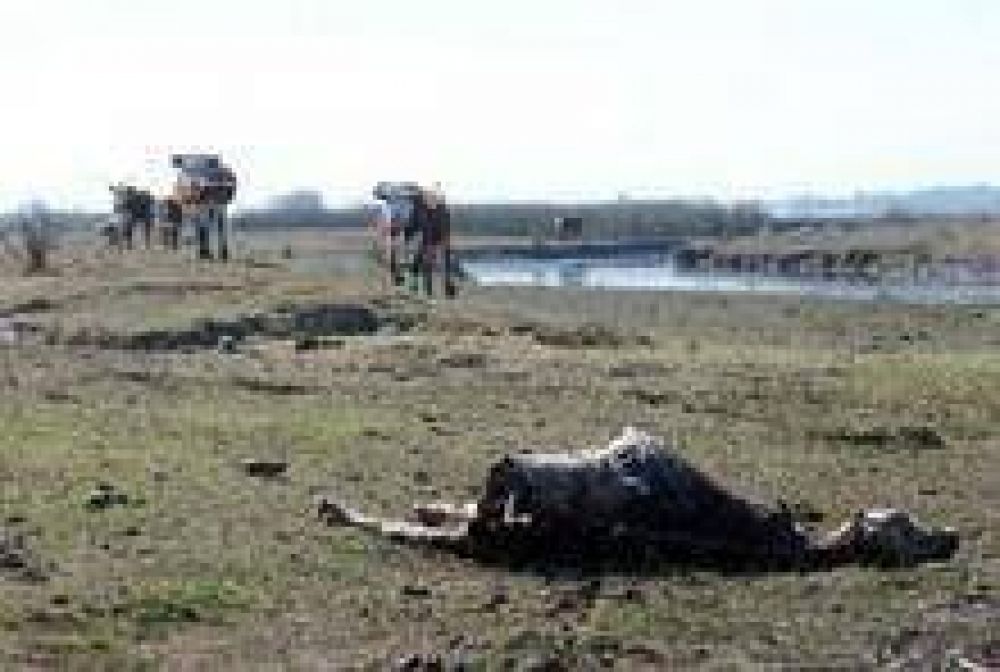 La Ni�a podr�a complicar la siembra en Corrientes