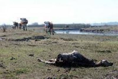 La Ni�a podr�a complicar la siembra en Corrientes