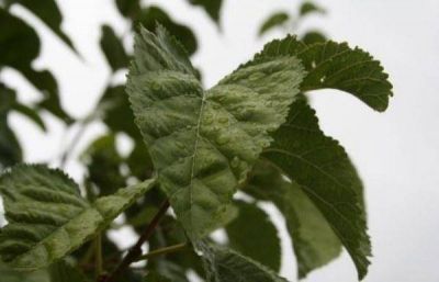 M�s lluvias en la provincia