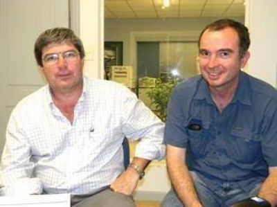 Reemplazar�n cuatro aguaribay de la Plaza Principal