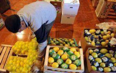 Frutas frescas: los costos ya superan en 22% a los precios de exportaci�n