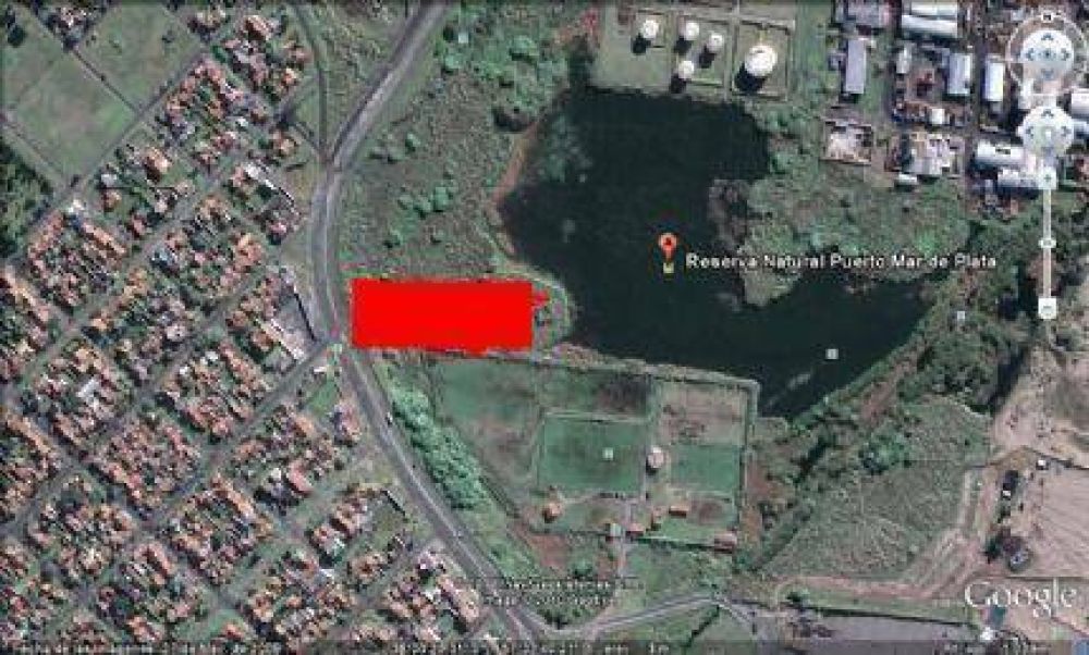 La Reserva Natural del Puerto denunci� al Club Aldosivi por da�o ambiental