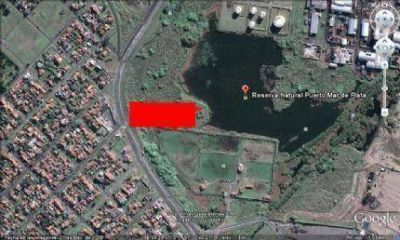 La Reserva Natural del Puerto denunci� al Club Aldosivi por da�o ambiental