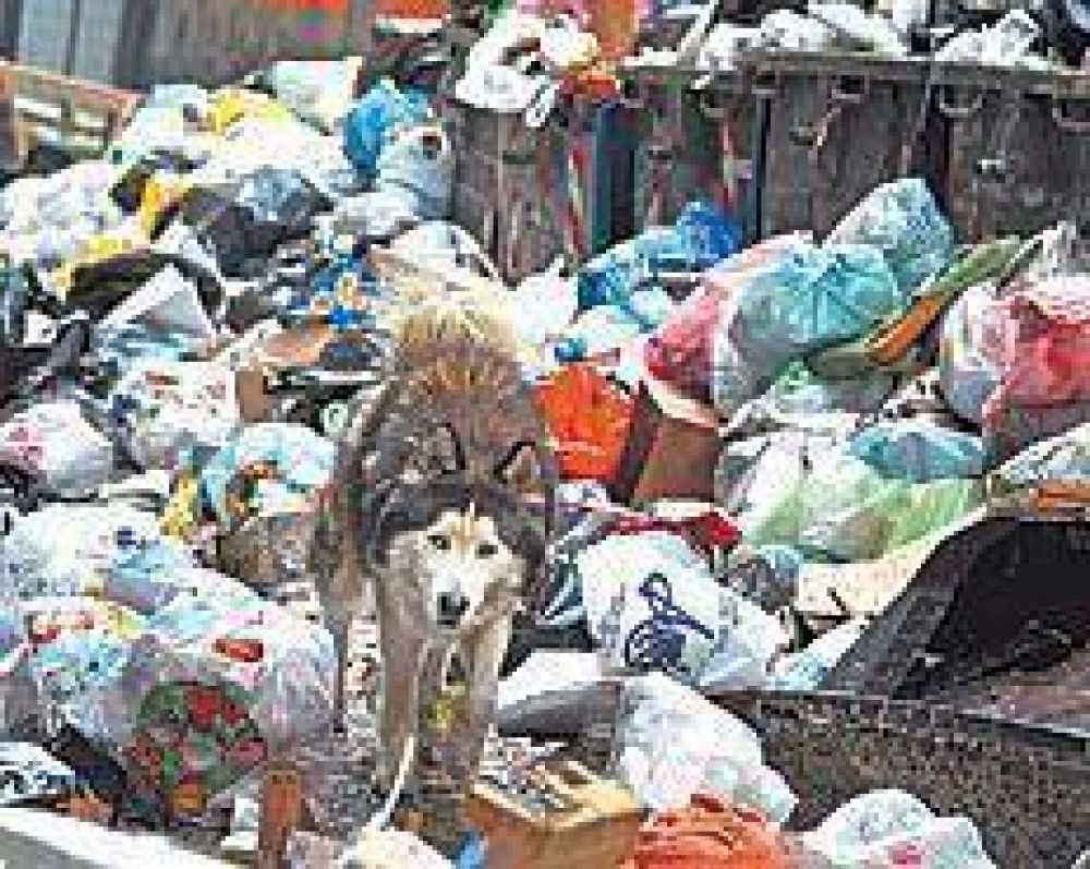 Bronca y problema con la basura en N�poles