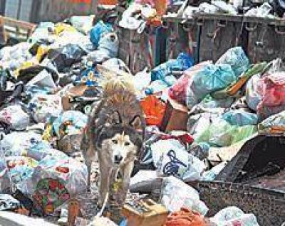 Bronca y problema con la basura en N�poles