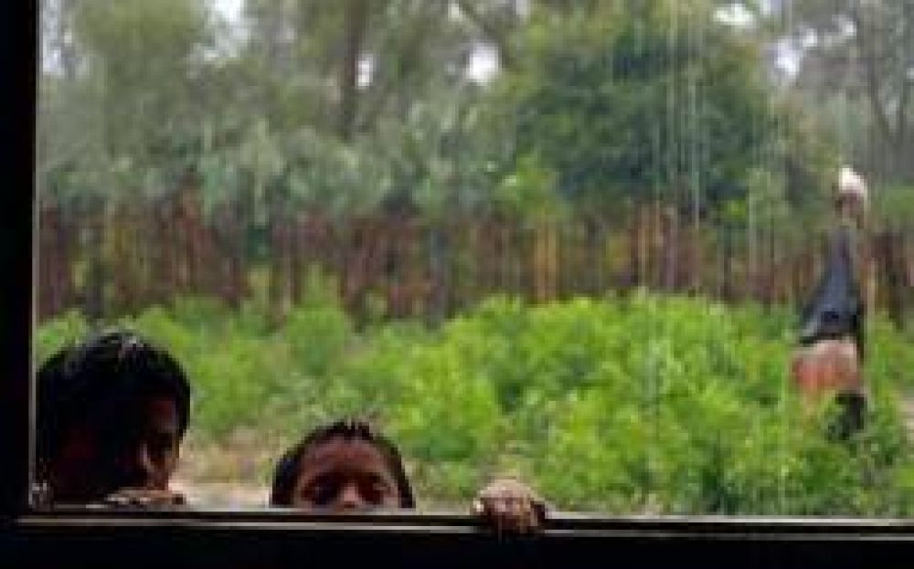 Clima. Buen promedio de lluvias, sin ning�n tipo de da�os ni evacuados