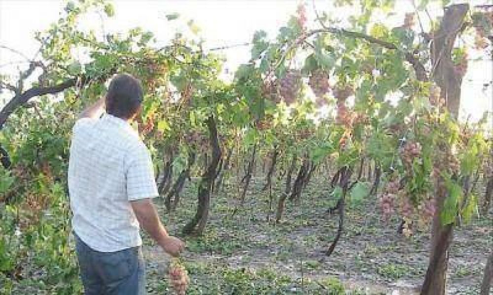 Diputados y productores exigen respuestas por las tormentas
