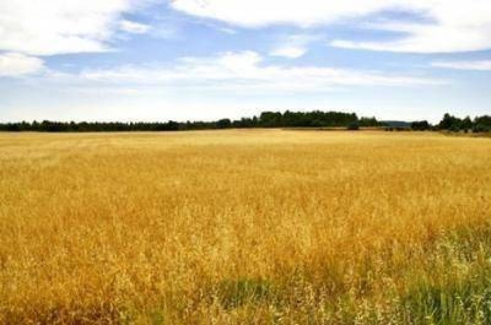 Jornada de campo organizada por las cooperativas