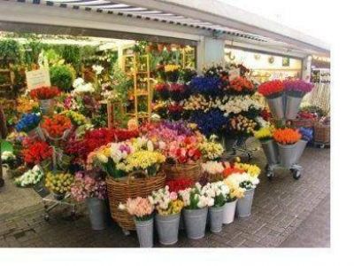 Quieren regular la actividad de 4 mil floristas en la Ciudad
