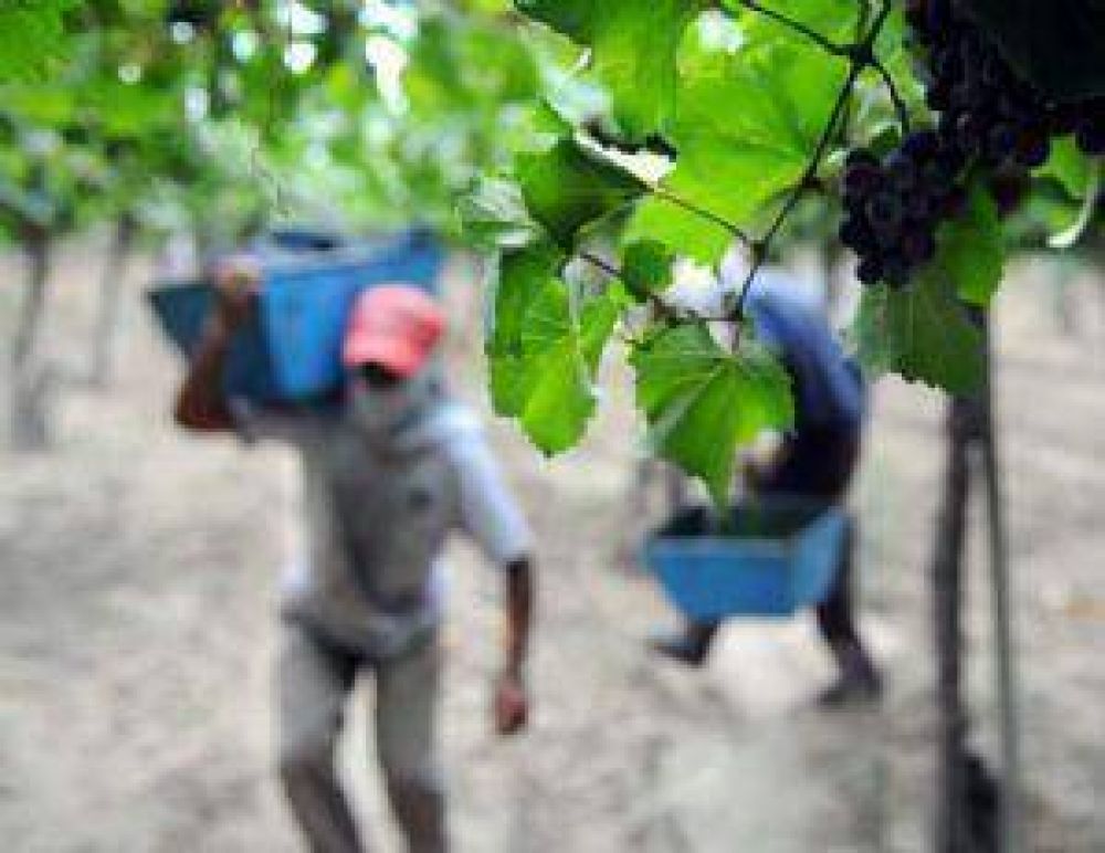 Cobrar�n asignaci�n familiar 20.000 trabajadores temporarios mendocinos