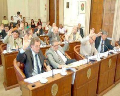 Puja pol�tica en el Senado por el Desendeudamiento
