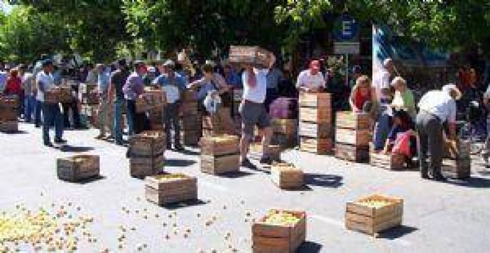 Regalaron 4.000 kilos de damascos por el "bajo" precio