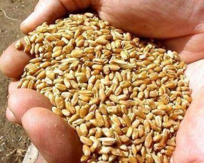 Los ruralistas anunciaron una movilizaci�n