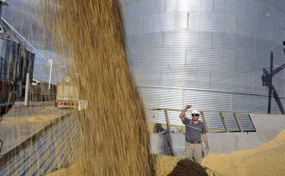 Exportaciones de granos: en una semana liquidan u$s300 millones y esperan a�o r�cord