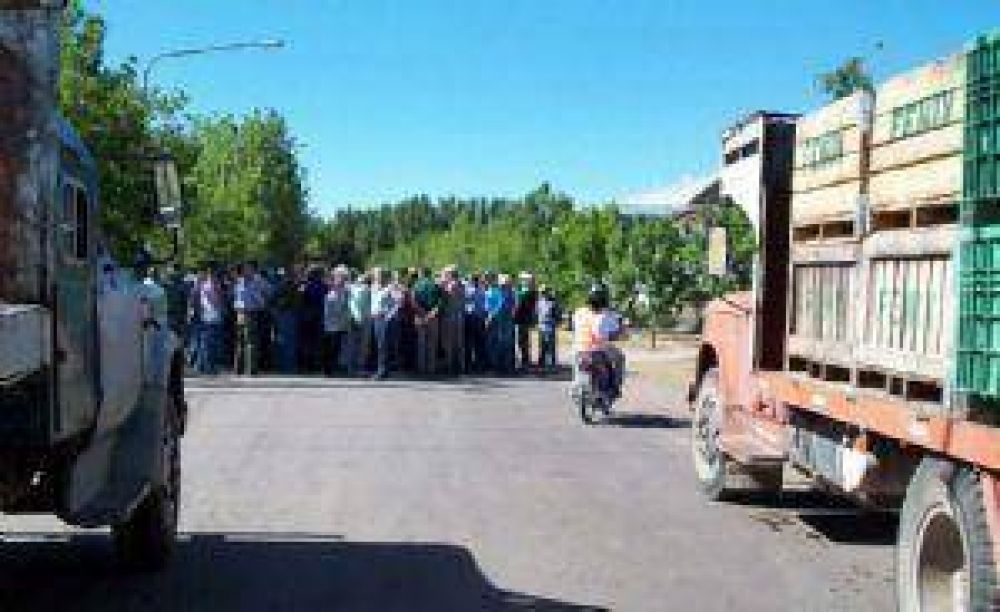 Siguen las protestas por el precio del damasco en Alvear