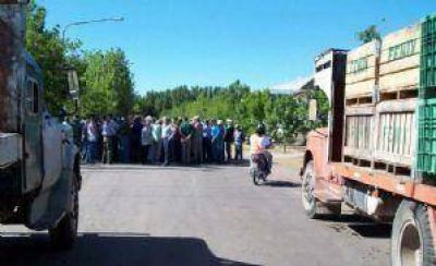 Siguen las protestas por el precio del damasco en Alvear