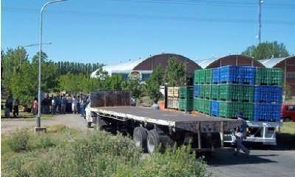 Productores de Alvear siguen con asambleas por el damasco