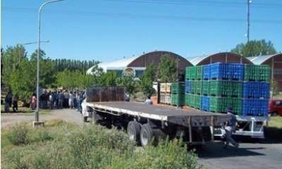 Productores de Alvear siguen con asambleas por el damasco