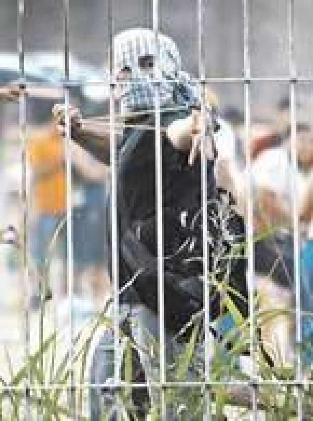 Volvi� la violencia a las tomas: furia y pedradas en Villa Lugano
