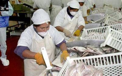 Gobierno nacional reducir�a por un a�o las retenciones en el sector pesquero