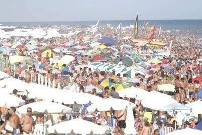 Satisfacci�n de los empresarios locales por lo sucedido en 2010