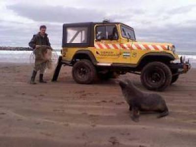 Son casi 60 los ejemplares rescatados por el Cuerpo de Guardafauna de la Reserva del Puerto