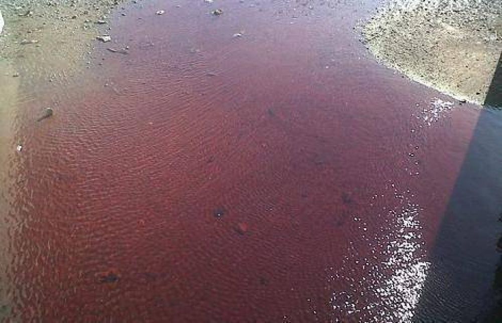 Contaminaci�n color rojizo en el agua de la costa de Vicente L�pez