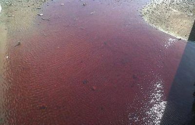 Contaminaci�n color rojizo en el agua de la costa de Vicente L�pez
