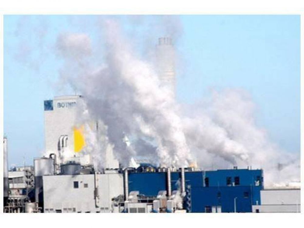 M�dicos de Gualeguaych� alertan sobre el aumento de patolog�as derivadas de UPM