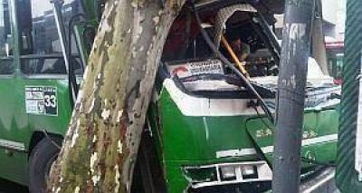 Violento choque de colectivo contra un �rbol: hay al menos 15 heridos