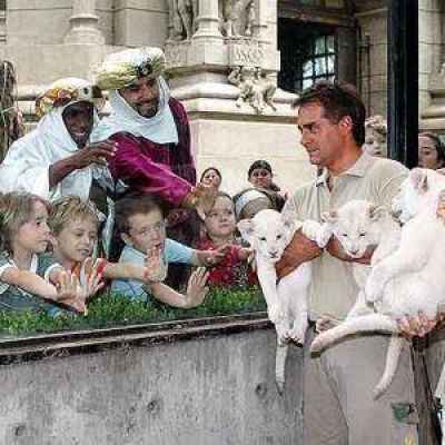 Los Reyes Magos presentaron en sociedad a tres leones blancos en el zoo porte�o